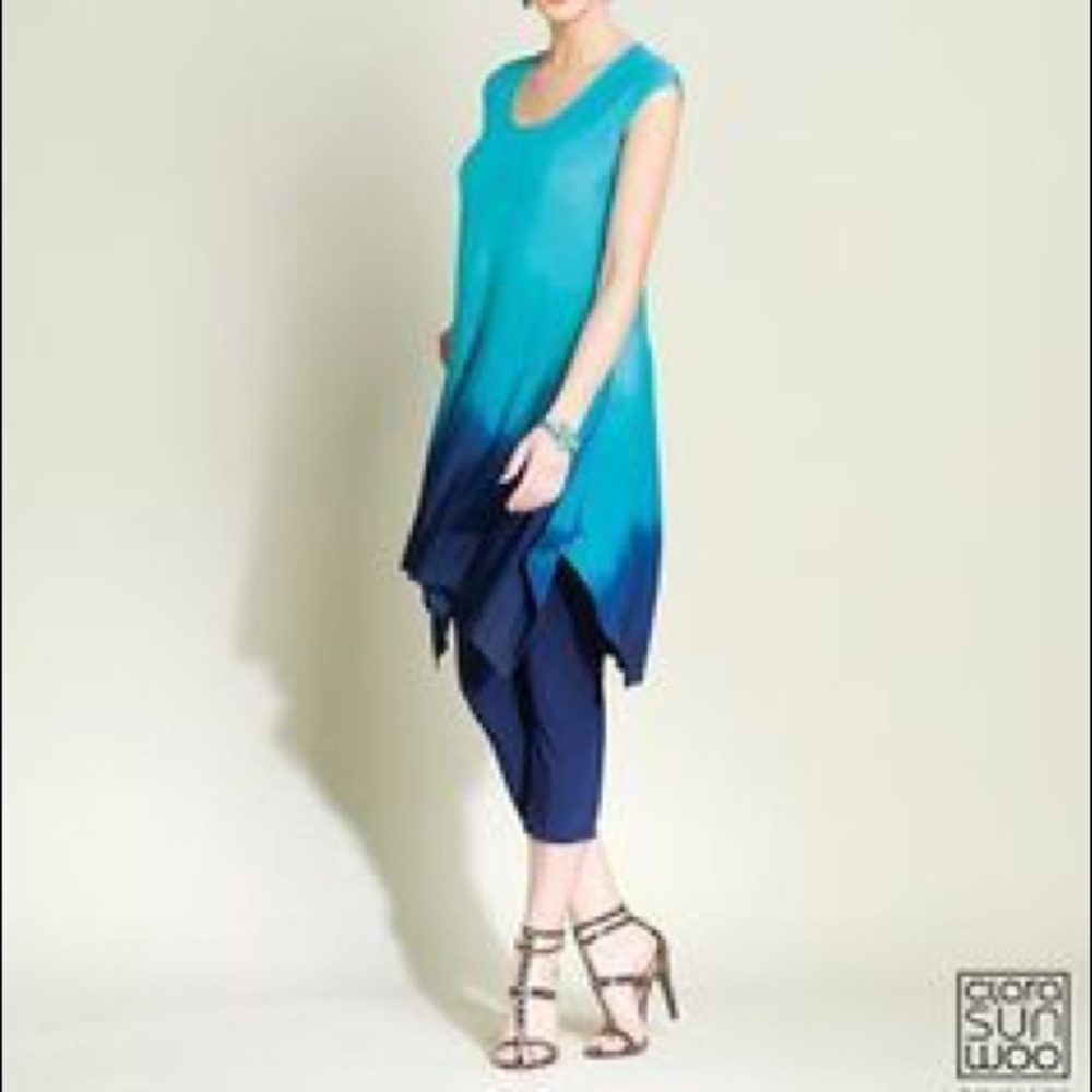 🆕Turquoise Ombré Dress / Tunic • Sunwoo • NWT